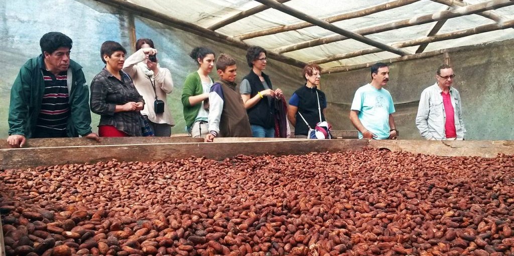 Chocolate Tour - Mindo - Ecuador | Quirutoa