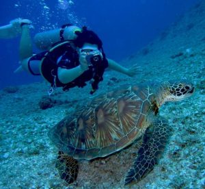 Diving in Galapagos Islands | Quirutoa